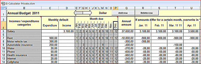 Where to enter the monthly income and expenditure per year